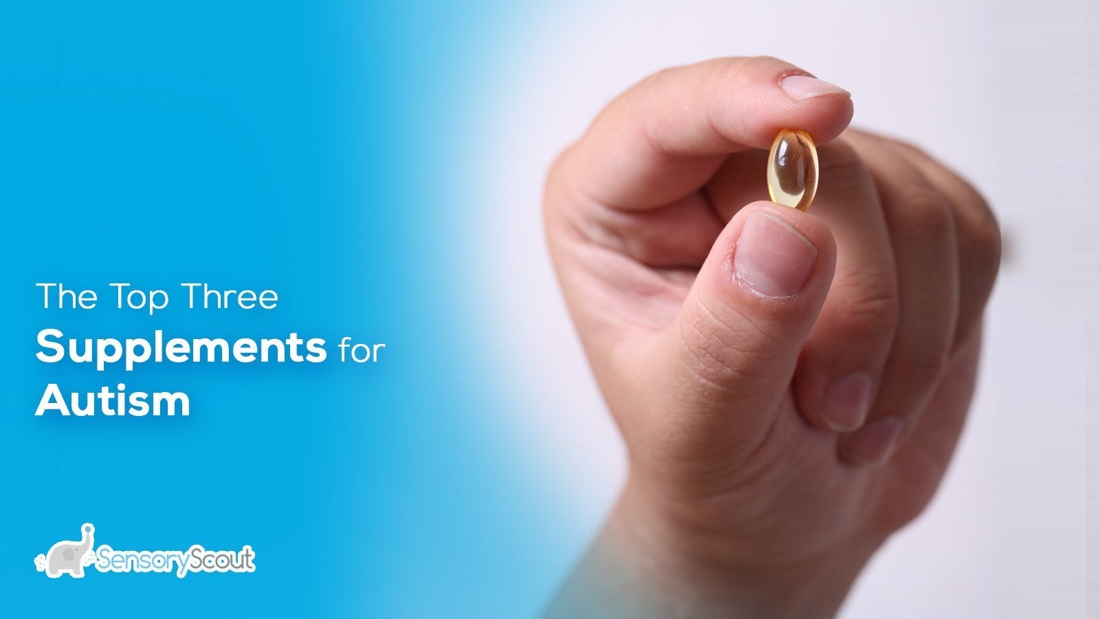 The Top Three Supplements for Autism