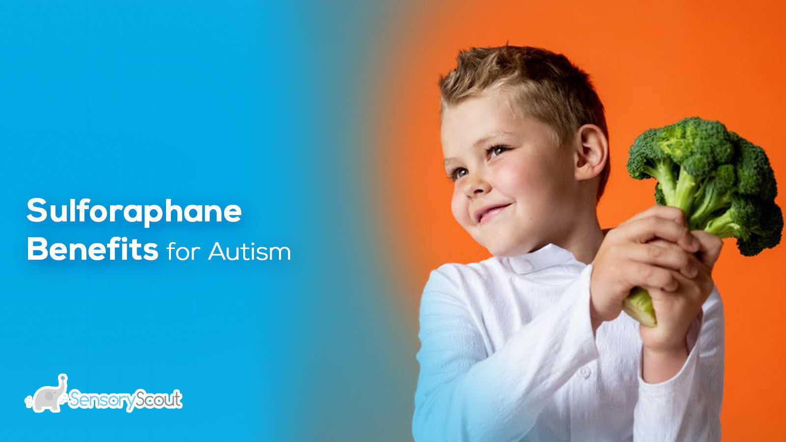 Sulforaphane Benefits for Autism