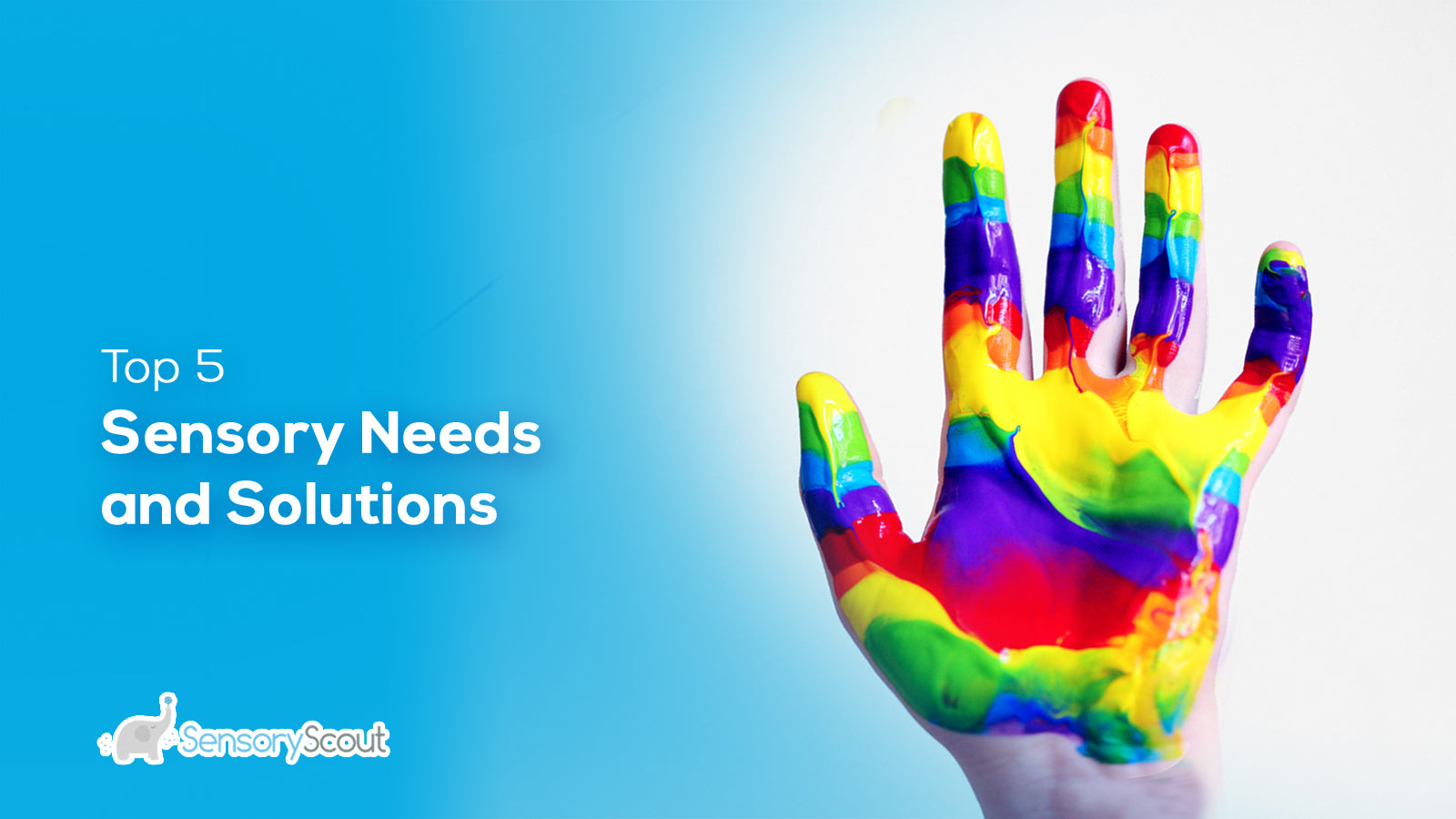 Top 5 Sensory Needs and Solutions